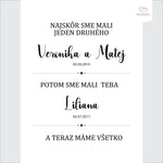 monmo_poster_30x40